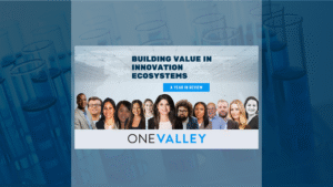 Annual review of building value in innovation ecosystems