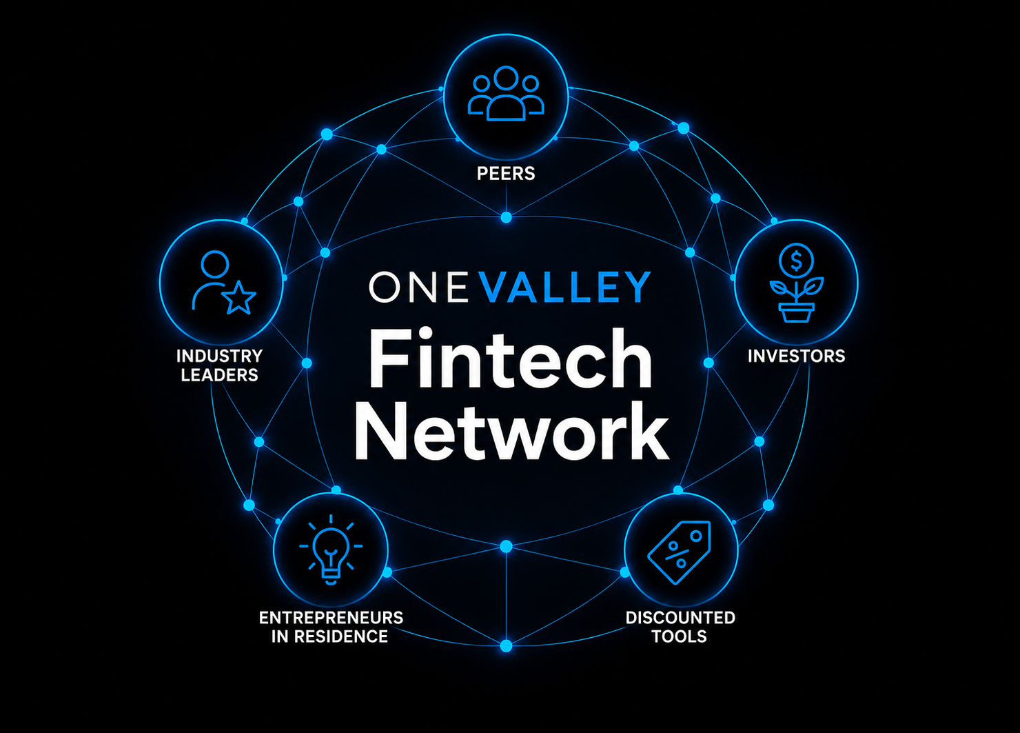 A computer-type network including nodes for the components of the program: peers, investors, discounted tools, entrepreneurs in residence, and industry leaders.